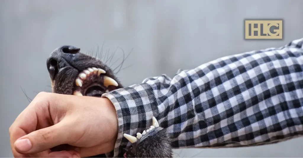 What You Need to Know About the New York Dog Bite Laws